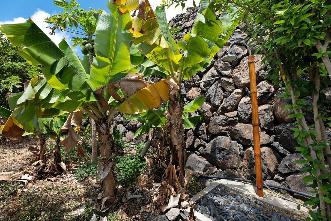 Finca Los Tableros Hermigua Bagian luar foto